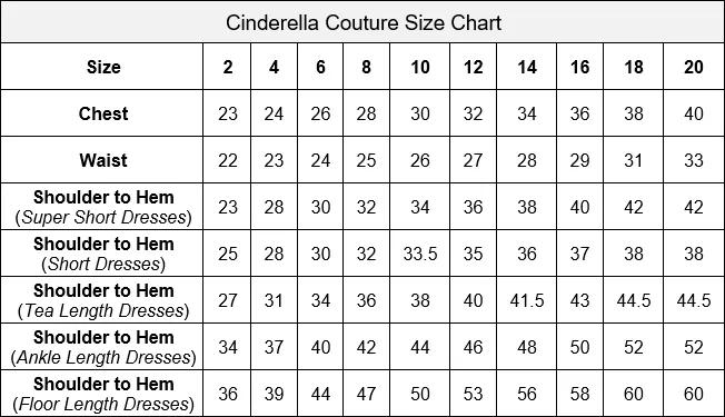 Puff Sleeve Floral Pearl Bead Lace Tulle Flower Girl Dress by Cinderella Couture USA AS2012