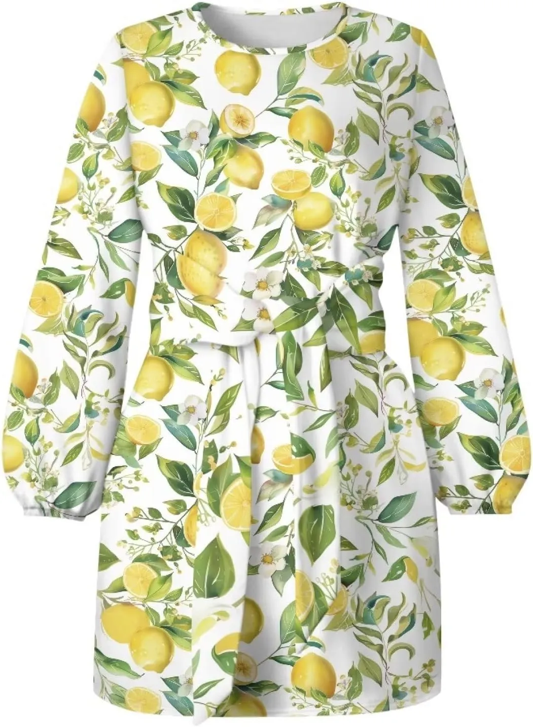 TODIYADDU Womens Casual Fall Dresses Novelty Midi Dresses with Belt Long Lantern Sleeve Crewneck Tie Waist Mini Dress, XL
