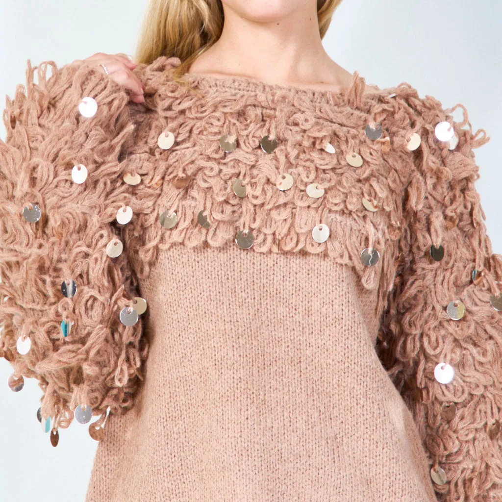 Unique loop yarn sweater with sequins wholesale