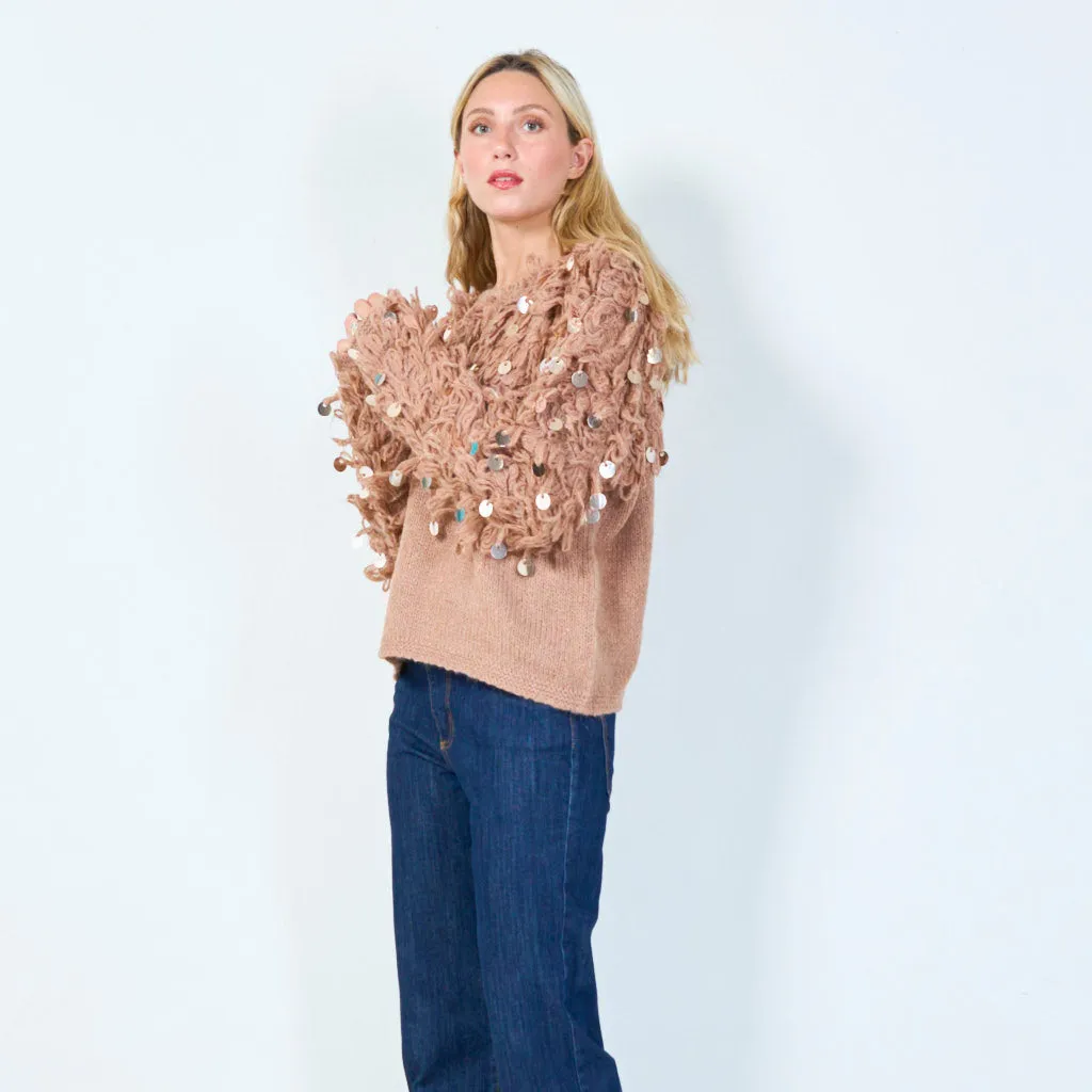 Unique loop yarn sweater with sequins wholesale