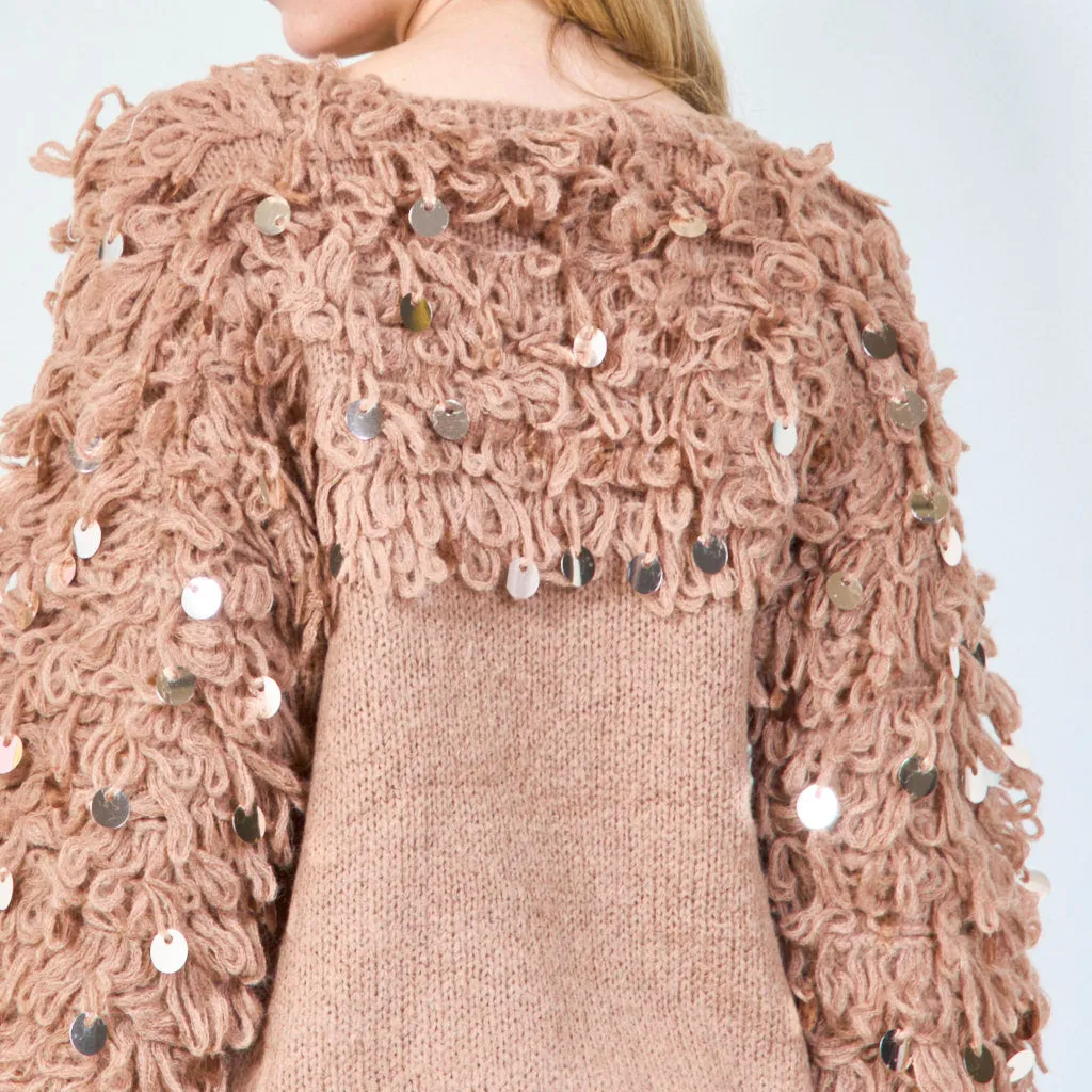Unique loop yarn sweater with sequins wholesale